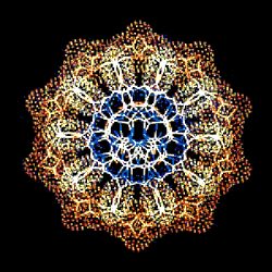 DNA