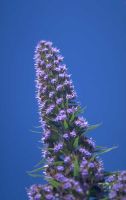 Medicine a confronto 1