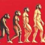 Evoluzione dell'homo sapiens