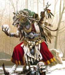 shamano guaritore