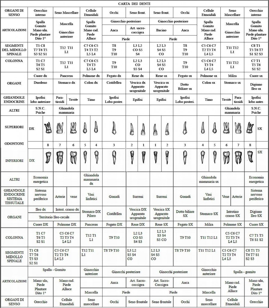 Carta dei denti