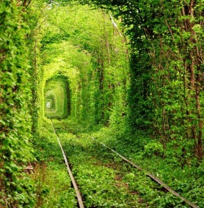 crisi esistenziale nel viaggio della vita