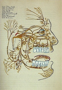 Disegno di Ernest Adler 